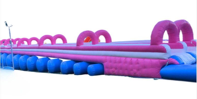 Lucu Warna Water Slide Komersial Disesuaikan Hippo Besar Inflatable Water Slide Dengan Kolam Renang Untuk Dijual